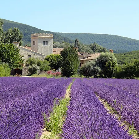 Paradis Provencal Le Calme Total, Grande Piscine Et Jacuzzi Chauffe, Salle De Jeux Et Fresque Du Nougat, Intimite *